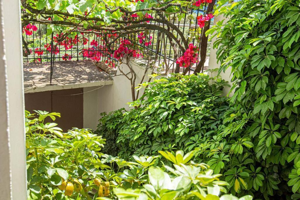 Blue Maraci 2 - Sea View, Kitchen, Beach Access Apartment Himare Ngoại thất bức ảnh