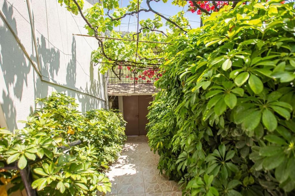 Blue Maraci 2 - Sea View, Kitchen, Beach Access Apartment Himare Ngoại thất bức ảnh