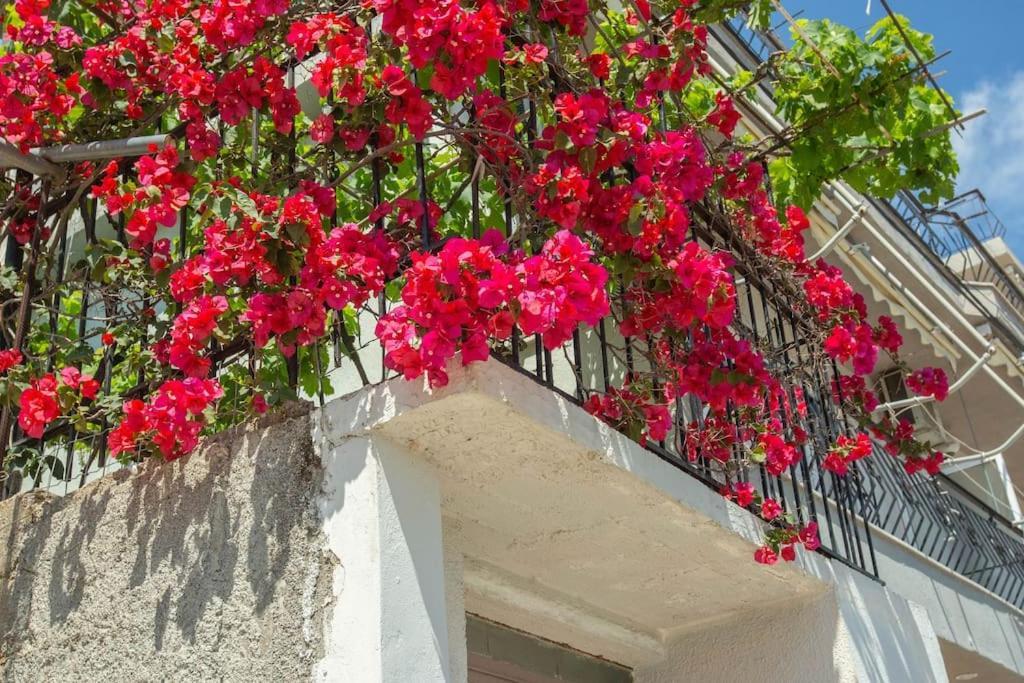 Blue Maraci 2 - Sea View, Kitchen, Beach Access Apartment Himare Ngoại thất bức ảnh